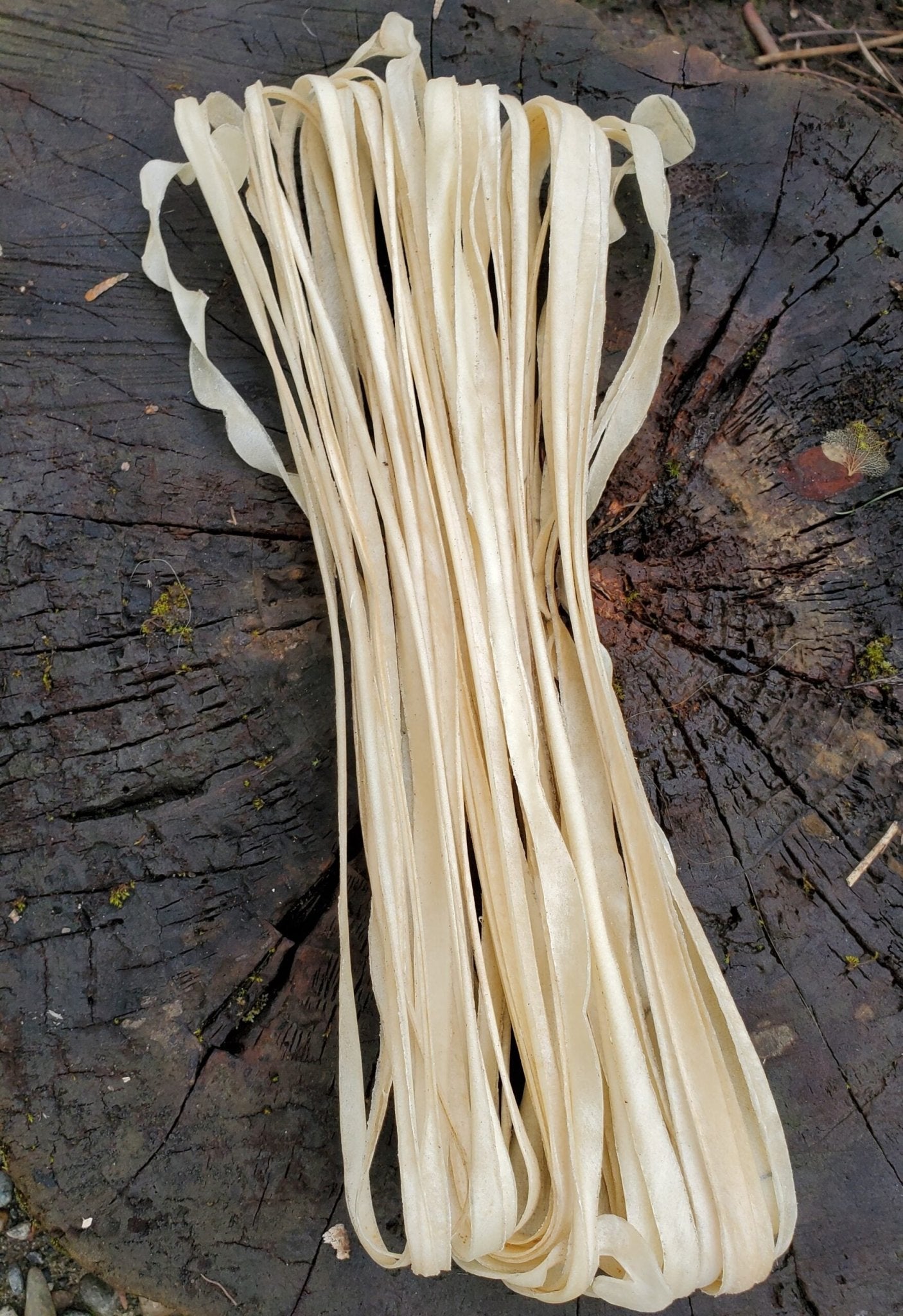 1/8″ (3mm) Deer Rawhide Lacing, 30′ (9.1m) - Tachini Drums