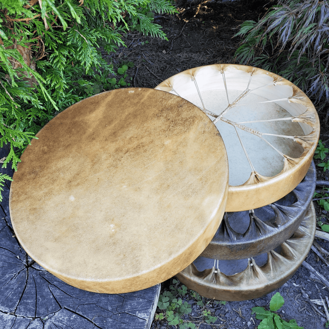 Buy Authentic Native American Drums Online