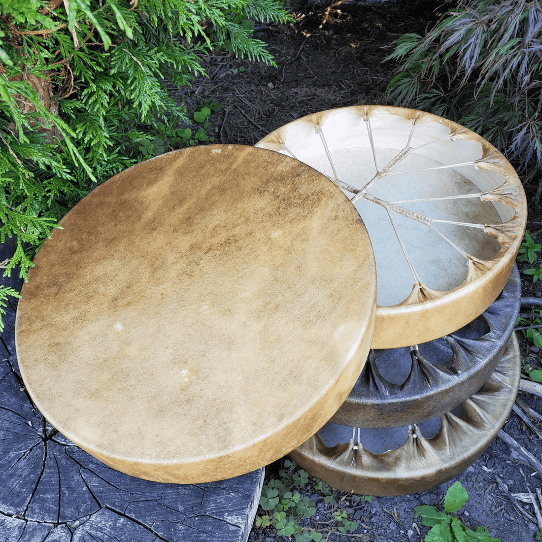 Where to Buy Authentic Native American Drums Online in the USA - Tachini Drums