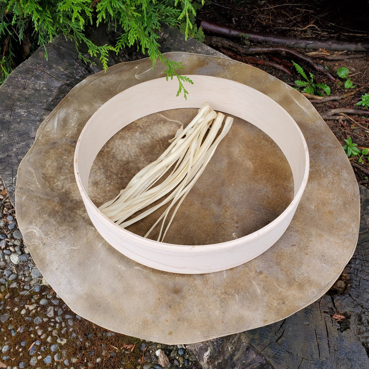 14″ (36cm) Hand Drum Kit - Tachini Drums