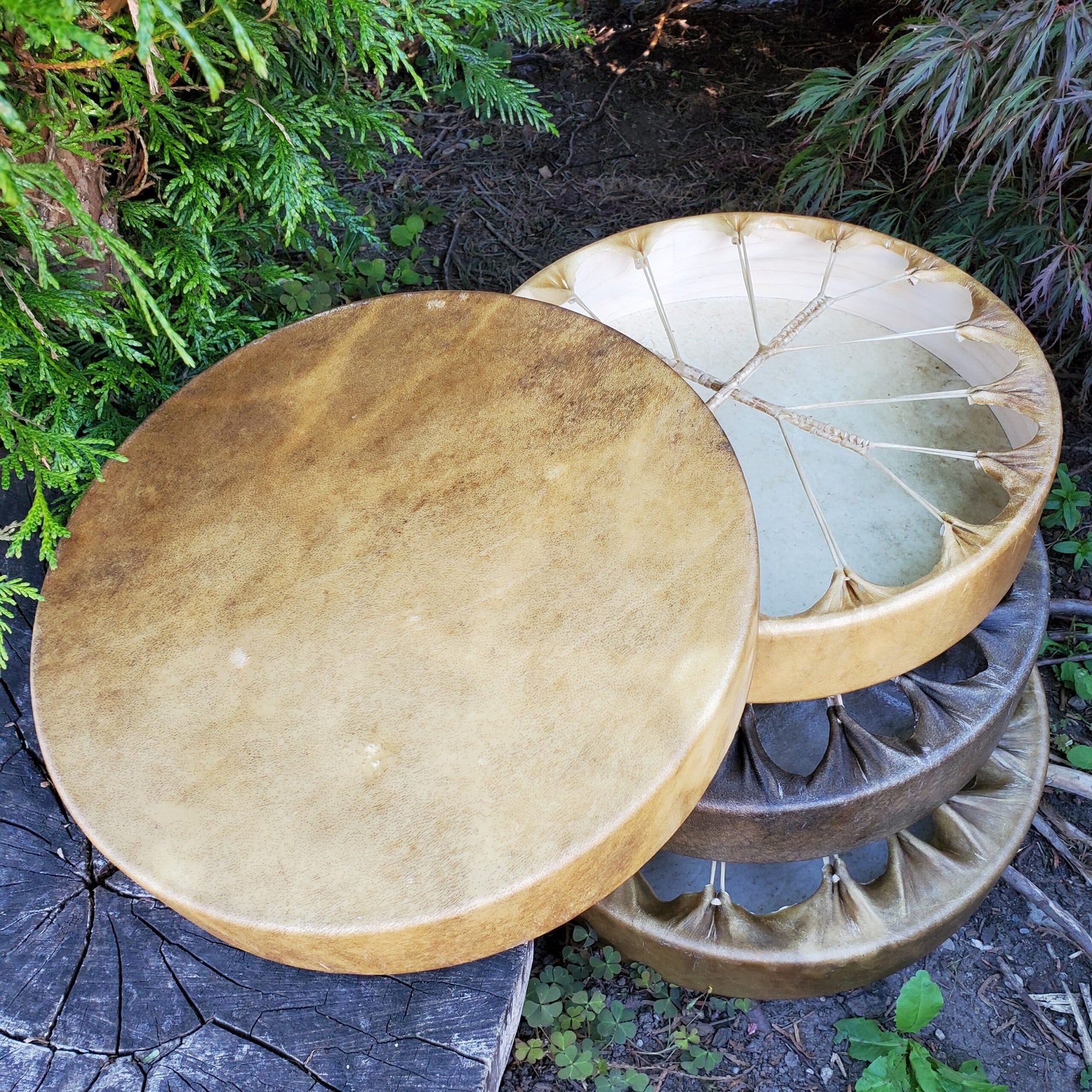 Tachini Drums