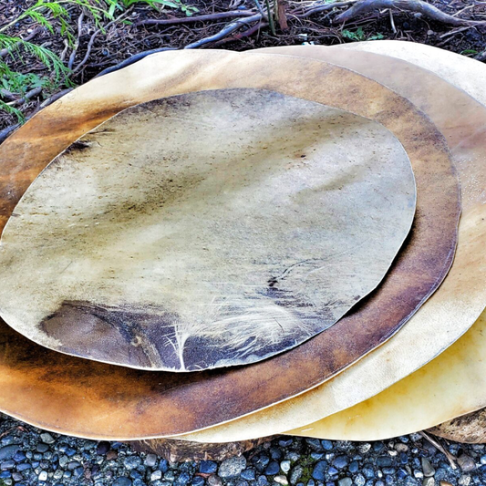 Rawhide Drumheads for hand drums - Tachini Drums